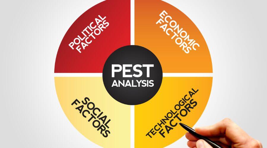 Professional local pest control in austin tx services in Austin
